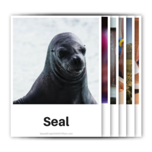 Visual Vocab Flashcards - Animals
